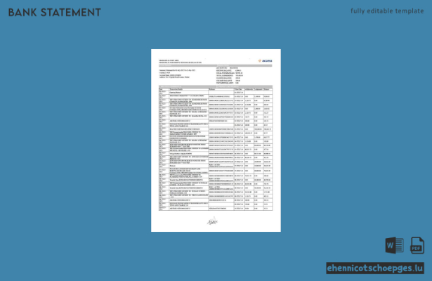 Nigeria Access Kontoauszug Word2 Beispielvorschau